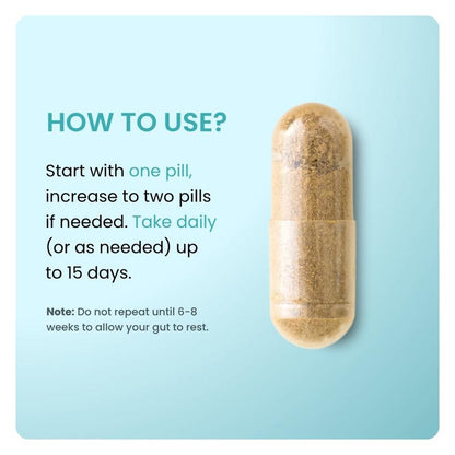 15 Day Cleanse - Gut Support